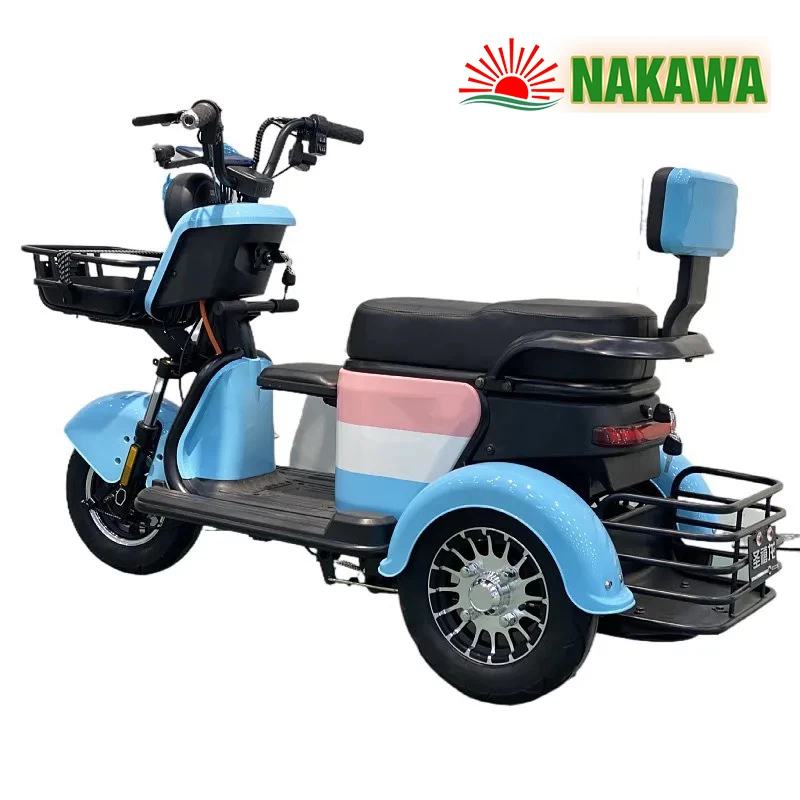 Xe điện 3 bánh 2 chỗ ngồi Nakawa NK-X01