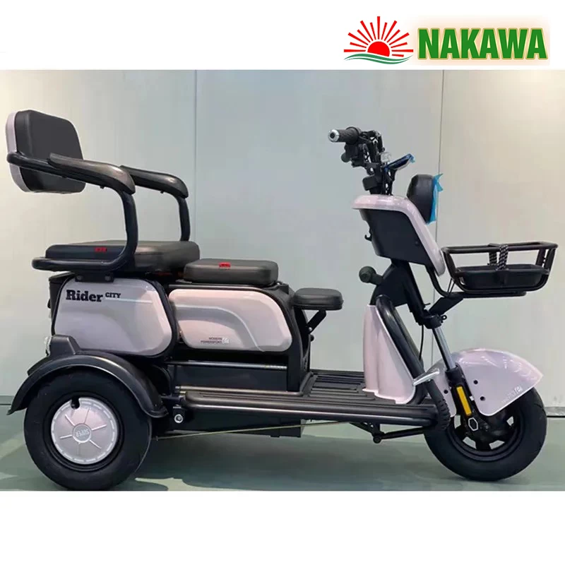 Xe điện 3 bánh Nakawa NK-X03